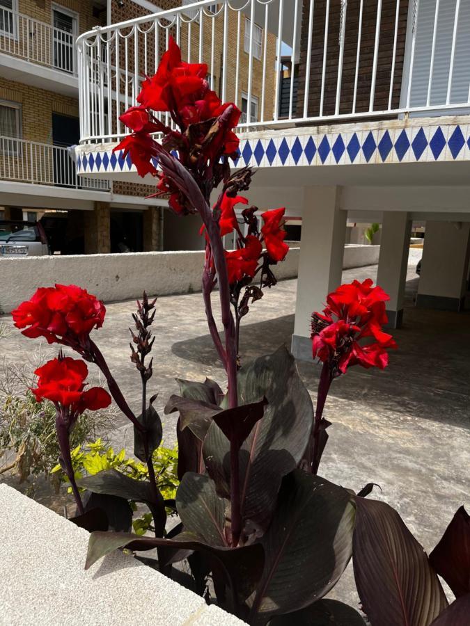 Prachtig Gemoderniseerde Woning Op 250 Meter Van Het Strand Santa Pola Exterior foto